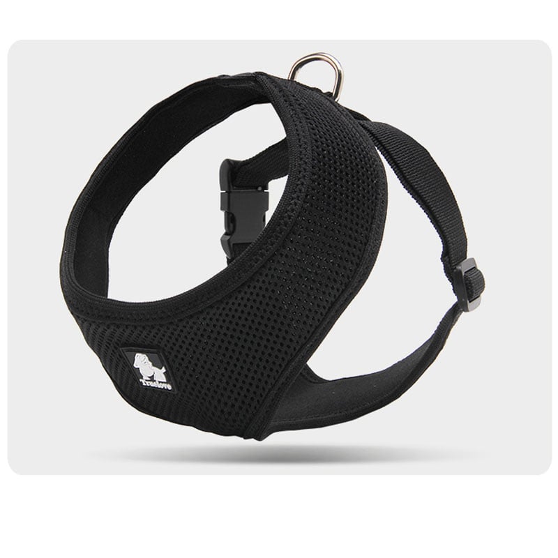 Towing Rope for Small Dogs