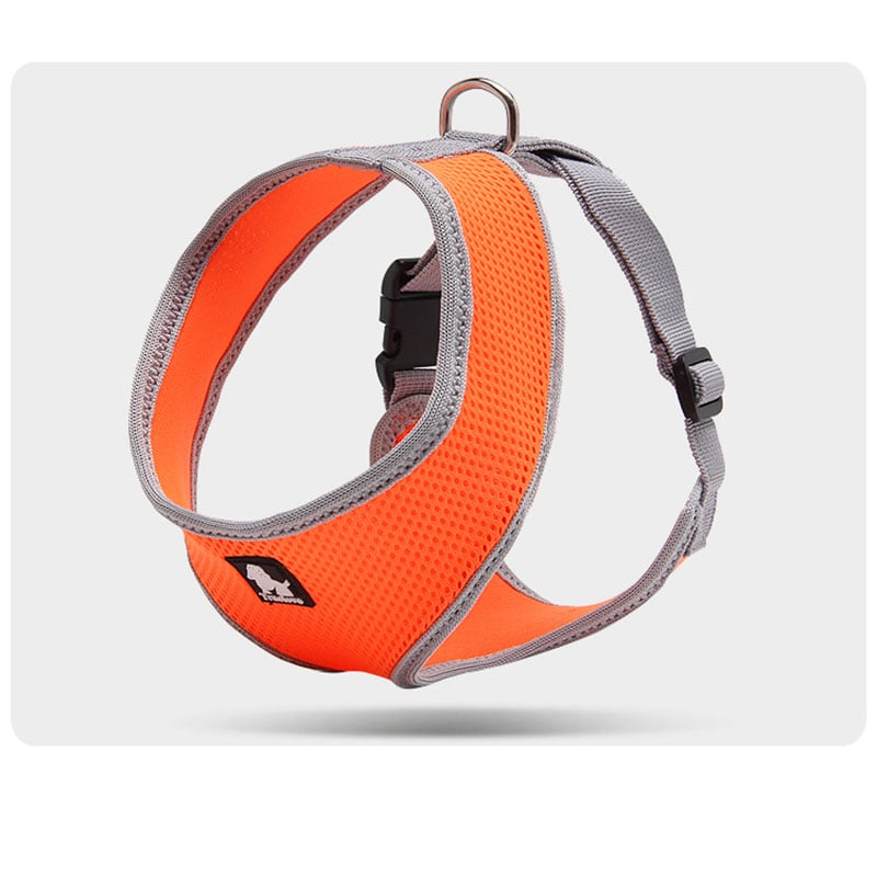 Towing Rope for Small Dogs